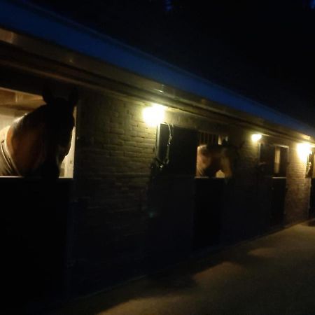 'T Wolthoes Vlagtwedde Extérieur photo