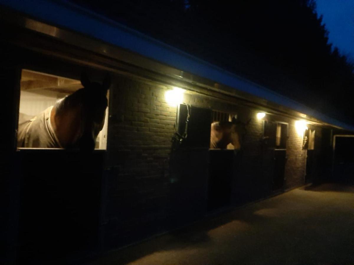 'T Wolthoes Vlagtwedde Extérieur photo