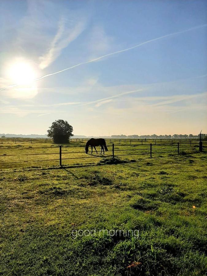 'T Wolthoes Vlagtwedde Extérieur photo
