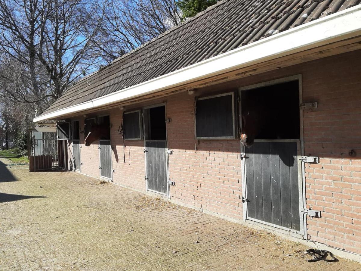 'T Wolthoes Vlagtwedde Extérieur photo