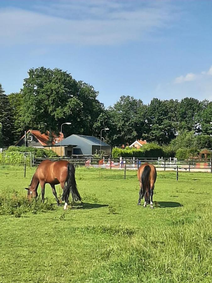 'T Wolthoes Vlagtwedde Extérieur photo